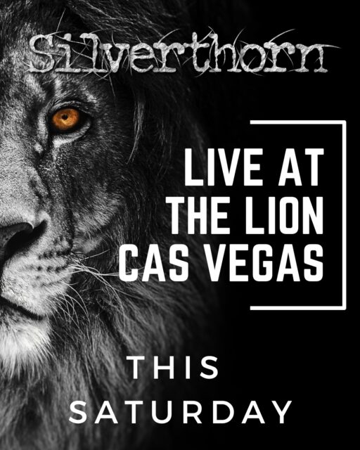 This Saturday we are at @l@lion_casvegas !  See you all there!